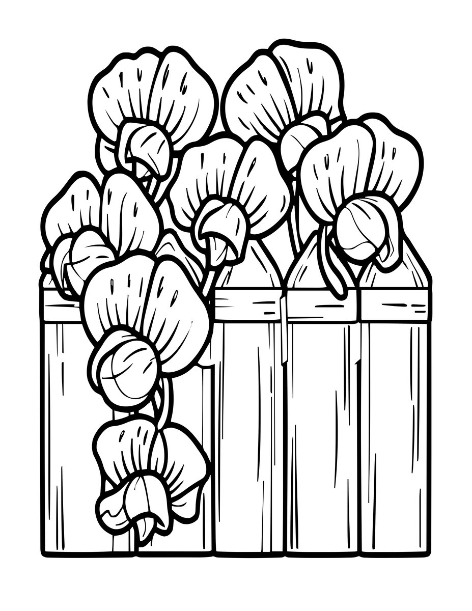 Sweet Pea Tendrils - free printable coloring page