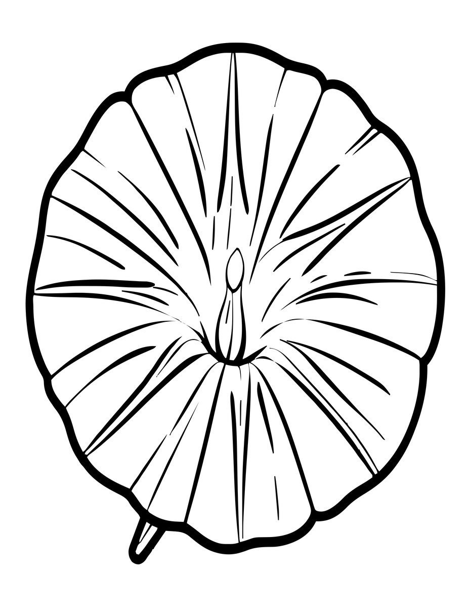 Morning Glory at Dawn - free printable coloring page