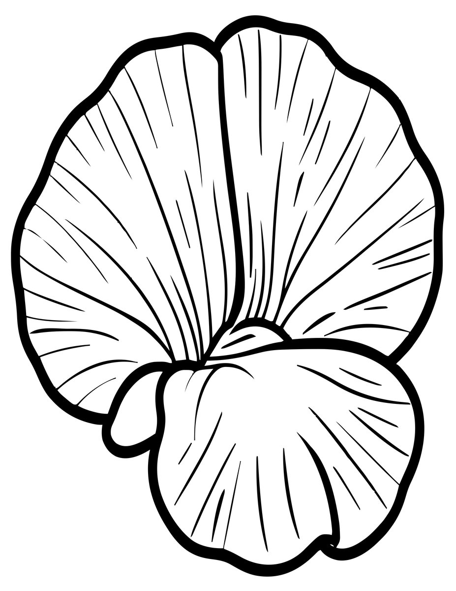 Sweet Pea Close-Up - free printable coloring page