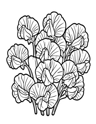 Sweet Pea Cluster - Free printable coloring page