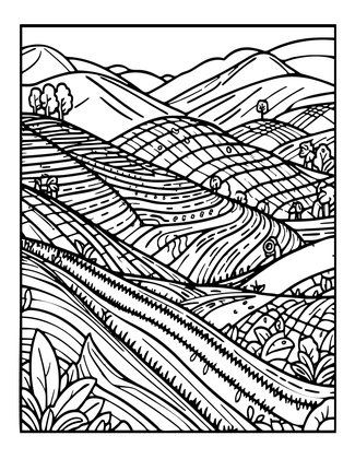 Tea Plantation - Free printable coloring page
