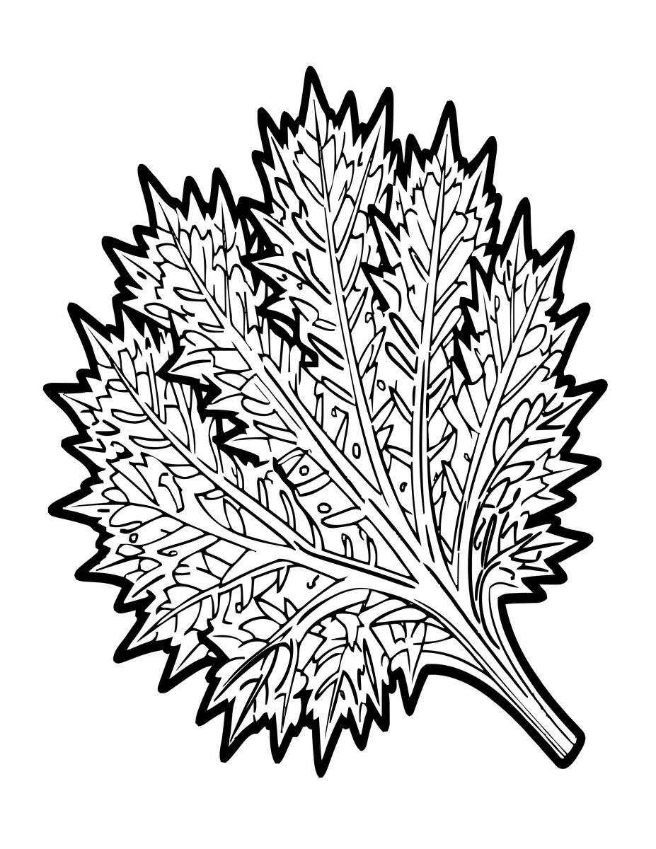 Thistle Leaf - free printable coloring page