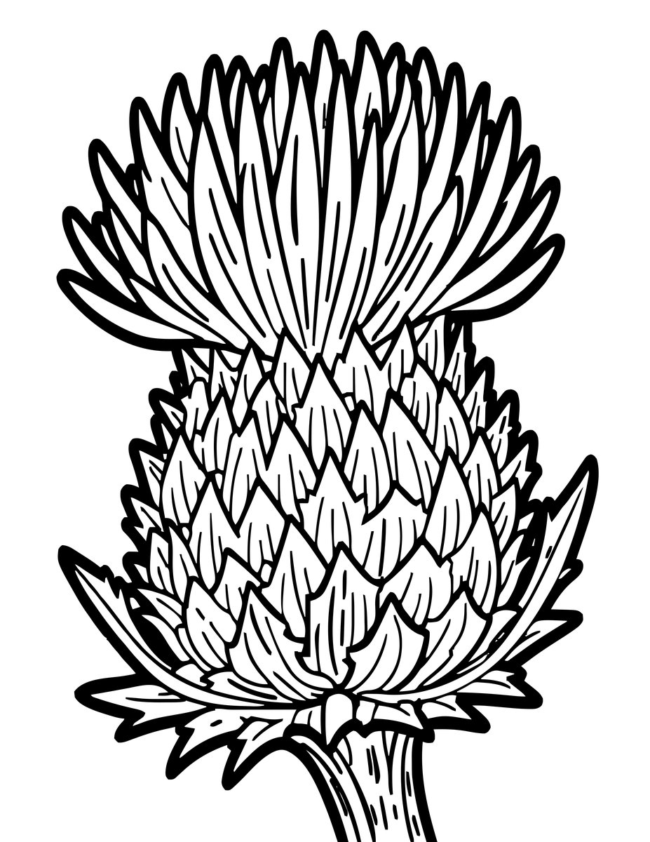Thistle Spines - free printable coloring page