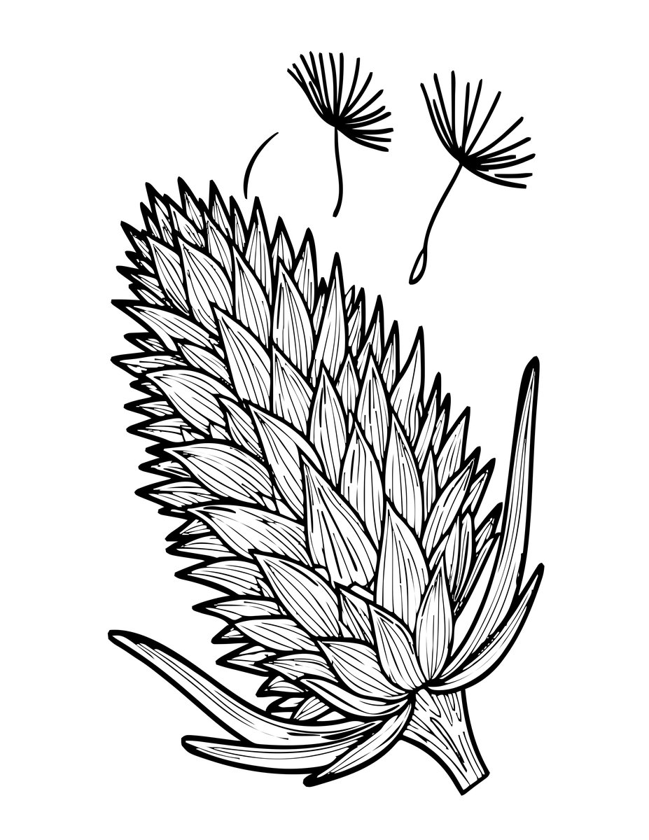 Thistle Seed - free printable coloring page