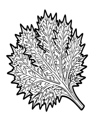 Thistle Leaf - Free printable coloring page