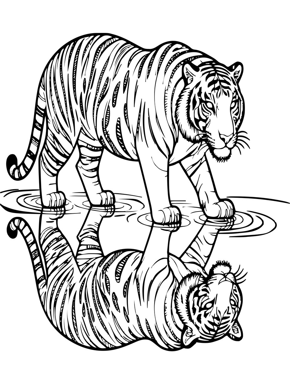 Tiger Reflection - free printable coloring page
