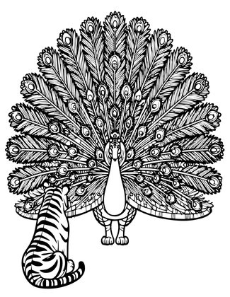Tiger and Peacock - Free printable coloring page
