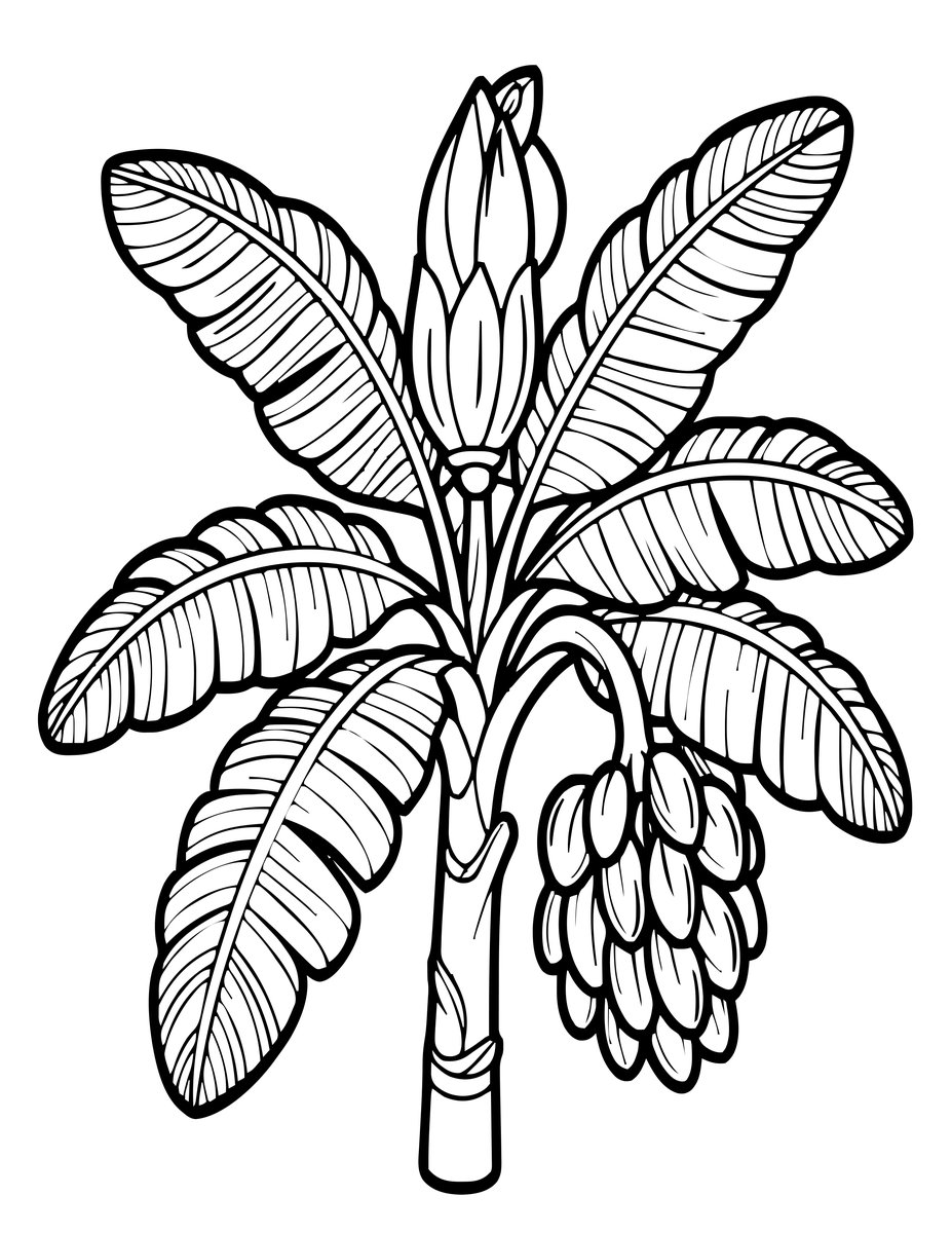 Banana Tree - free printable coloring page