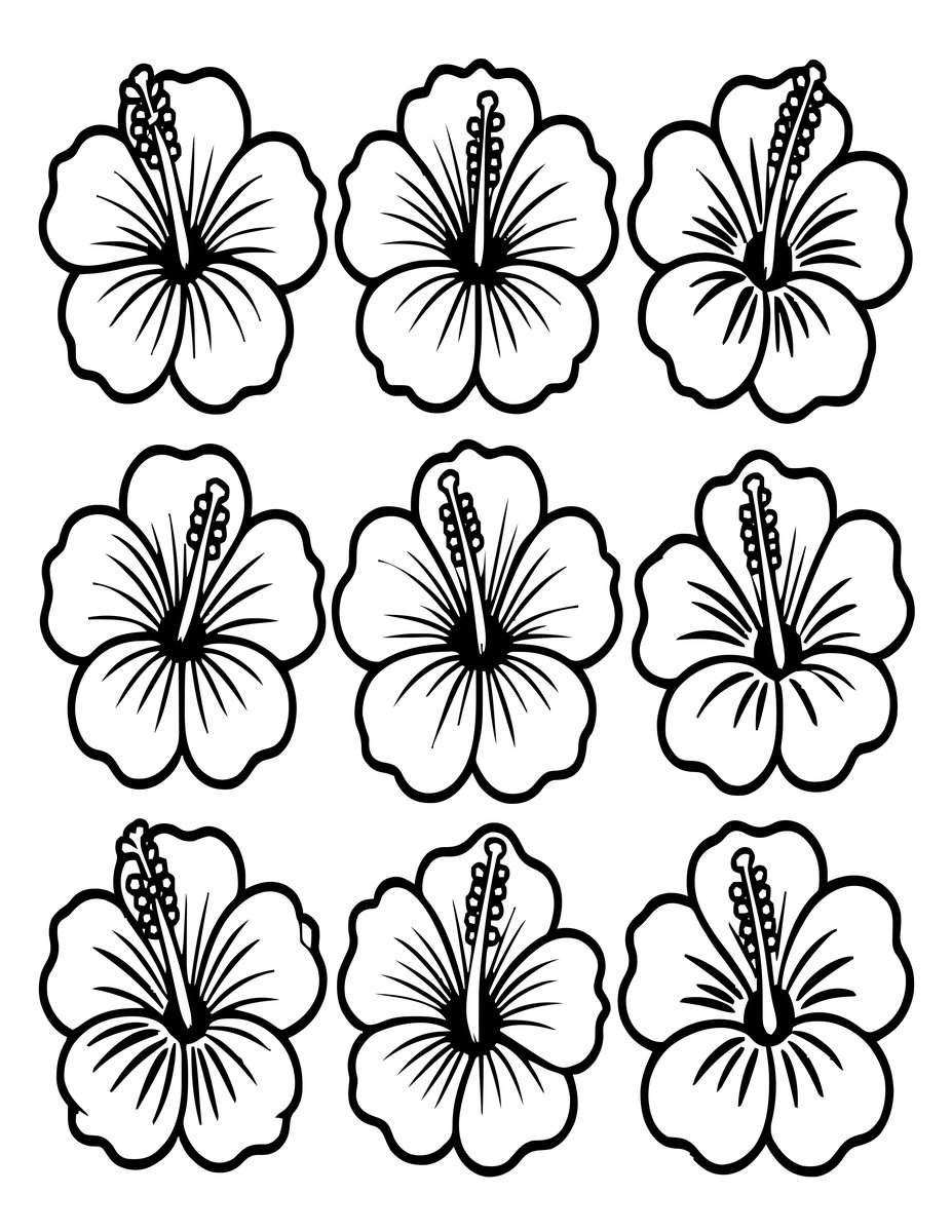 Hibiscus Bouquet - free printable coloring page