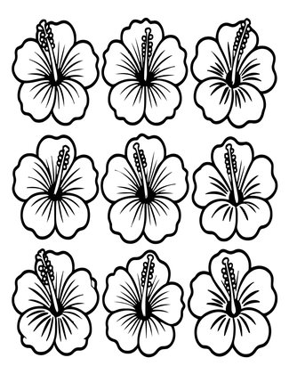 Hibiscus Bouquet - Free printable coloring page