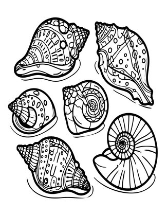 Shell Collection - Free printable coloring page