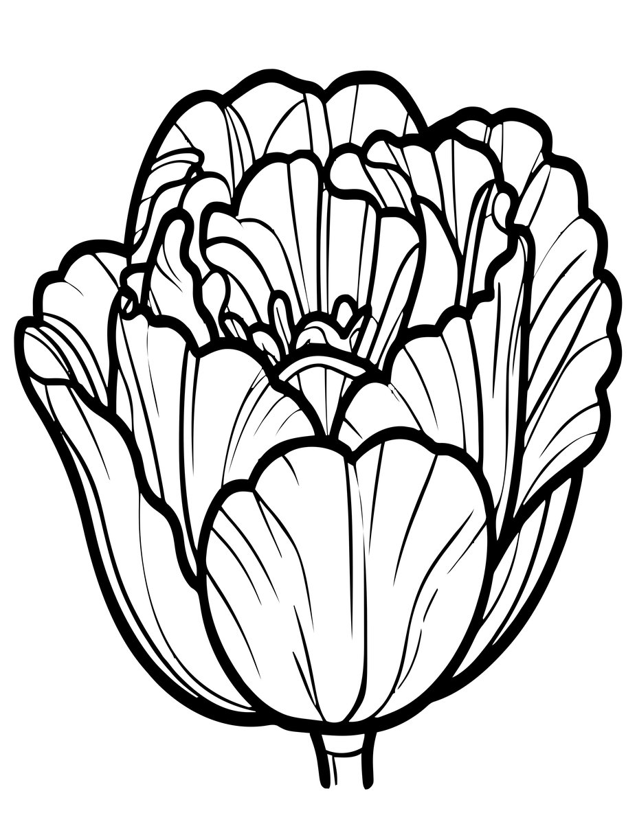 Double Tulip - free printable coloring page