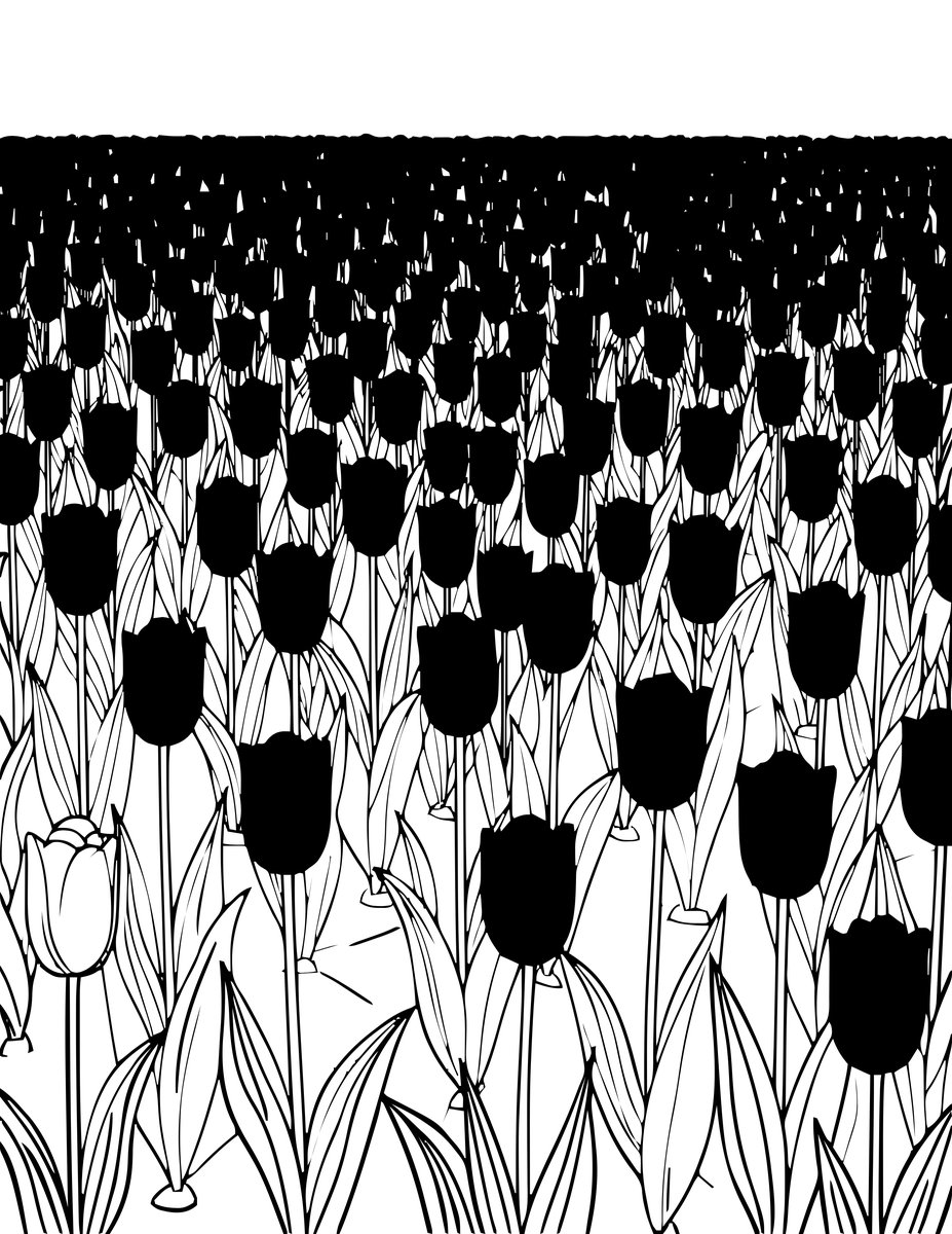 Red Tulip Field - free printable coloring page