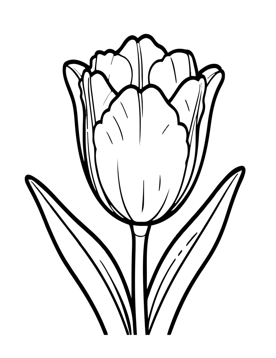 Lily-Flowered Tulip - free printable coloring page