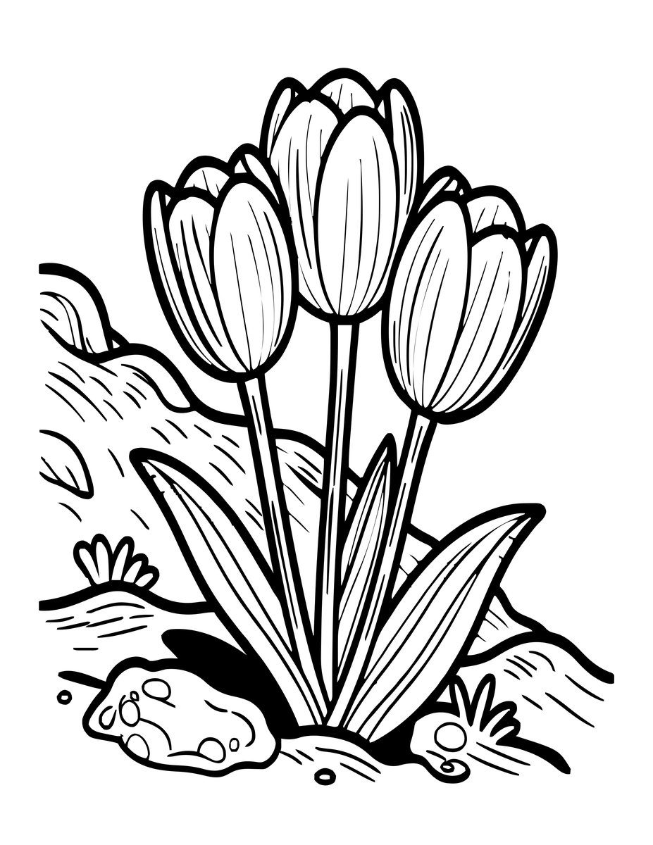 Wild Tulip - free printable coloring page