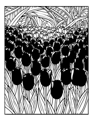 Tulip at Sunrise - Free printable coloring page