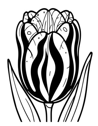 Striped Tulip - Free printable coloring page