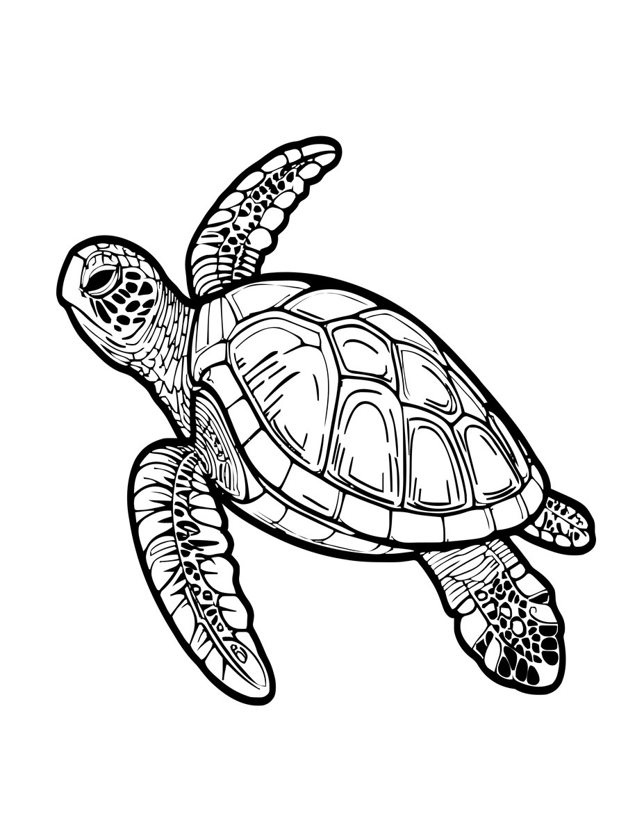 Sea Turtle Swimming - free printable coloring page