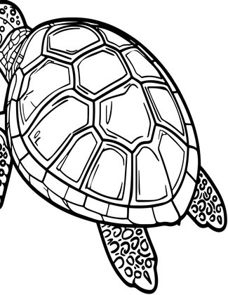 Ornate Shell Pattern - Free printable coloring page