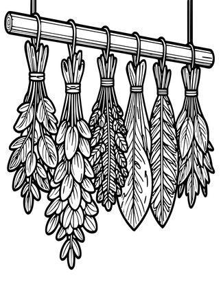 Dried Herbs - Free printable coloring page