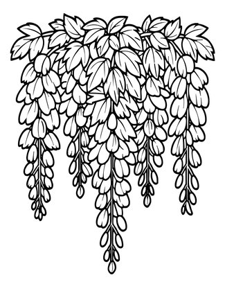 Victorian Wisteria - Free printable coloring page