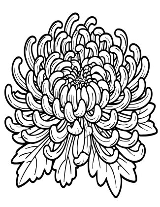 Heritage Chrysanthemum - Free printable coloring page