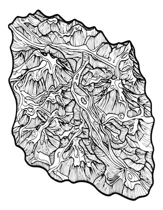 Topographic Map - Free printable coloring page