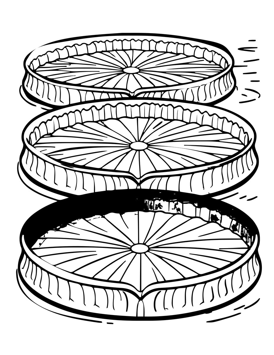 Victoria Amazonica - free printable coloring page