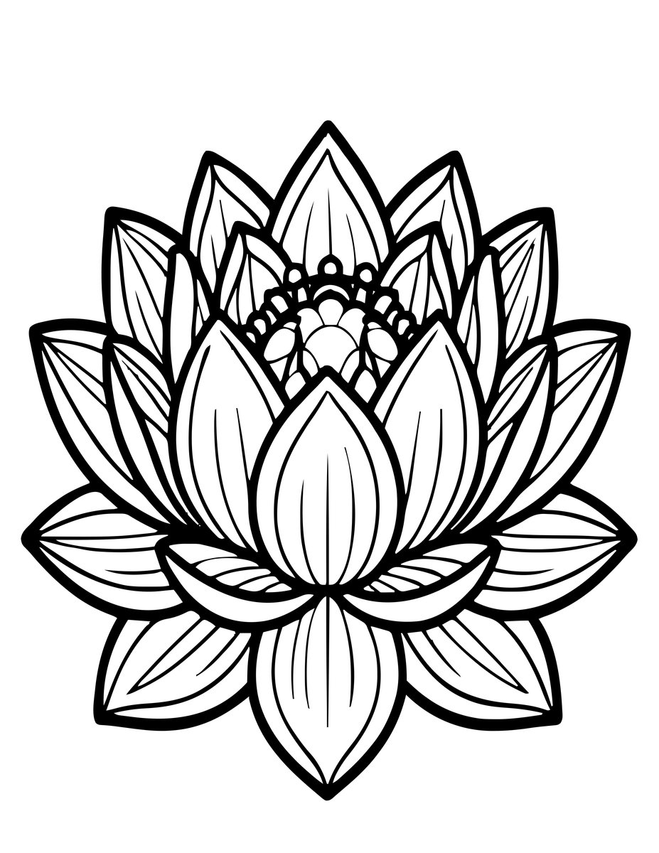 Lily Opening - free printable coloring page