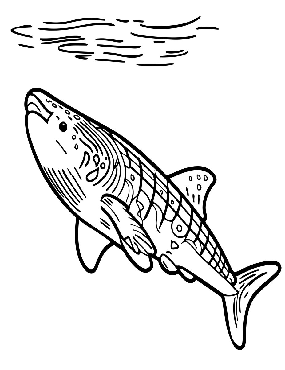 Whale Shark at Rest - free printable coloring page