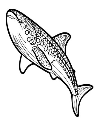 Whale Shark Portrait - Free printable coloring page