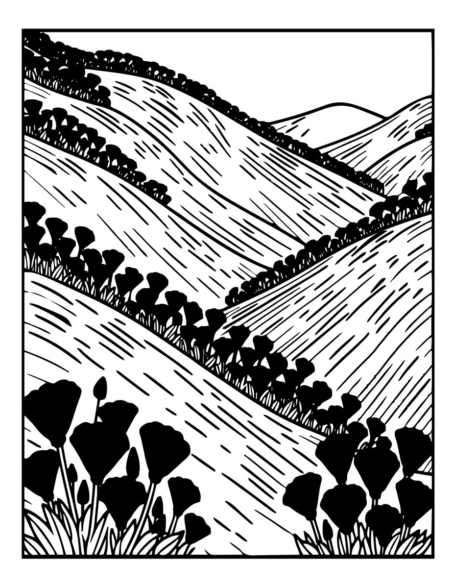 California Poppy - free printable coloring page