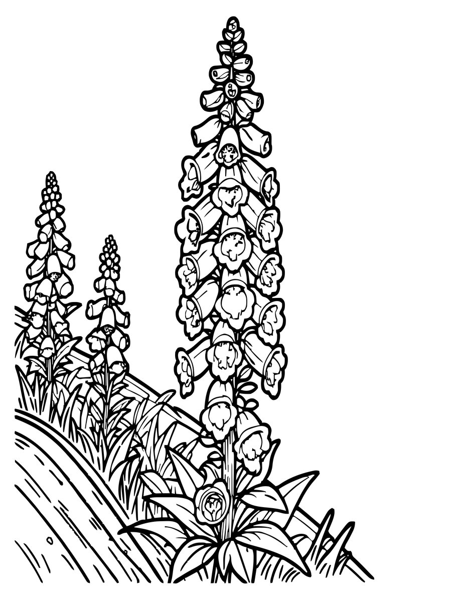 Foxglove Wild - free printable coloring page
