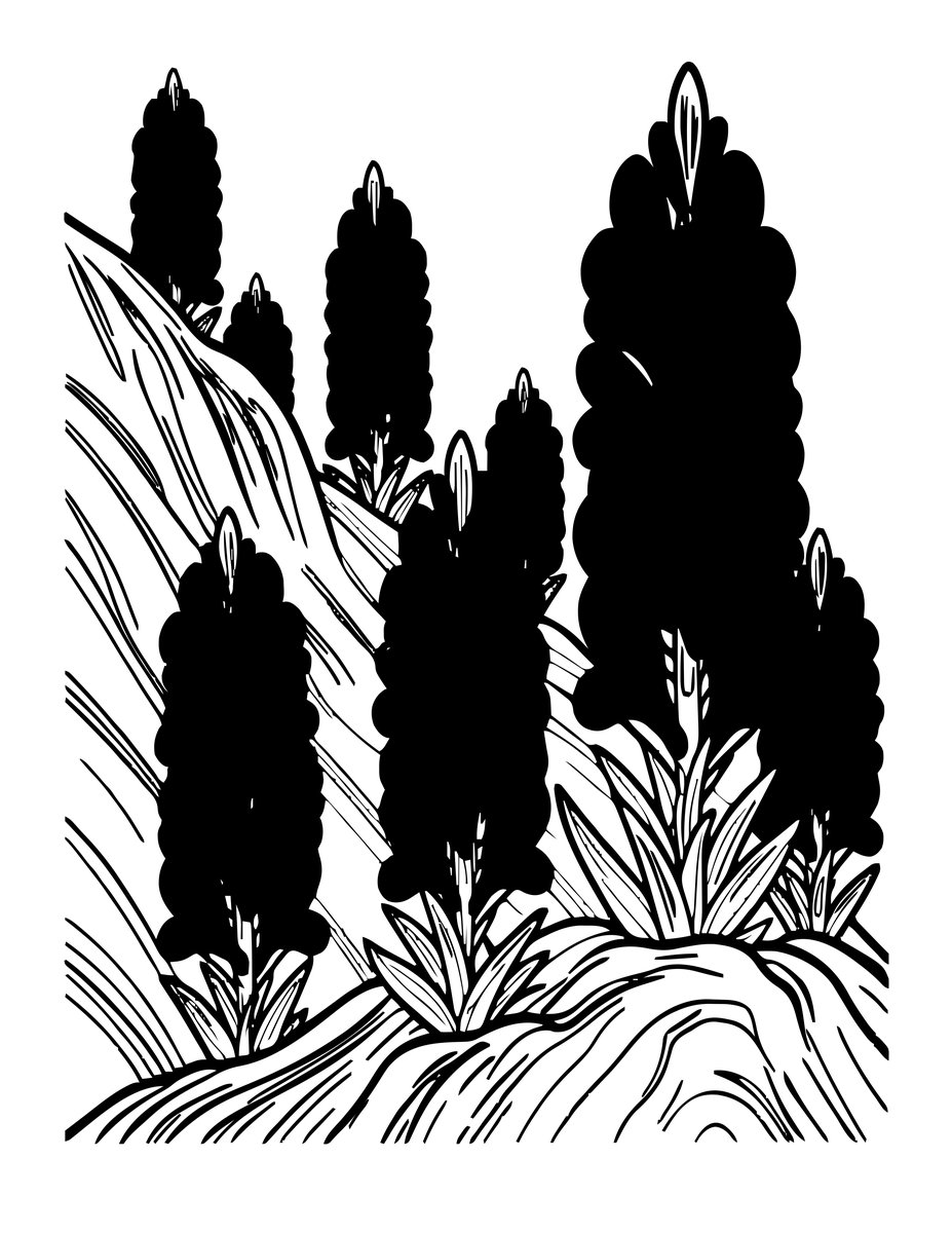 Indian Paintbrush - free printable coloring page