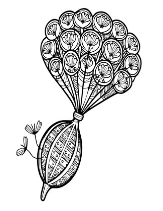 Milkweed - Free printable coloring page
