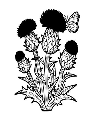 Thistle - Free printable coloring page