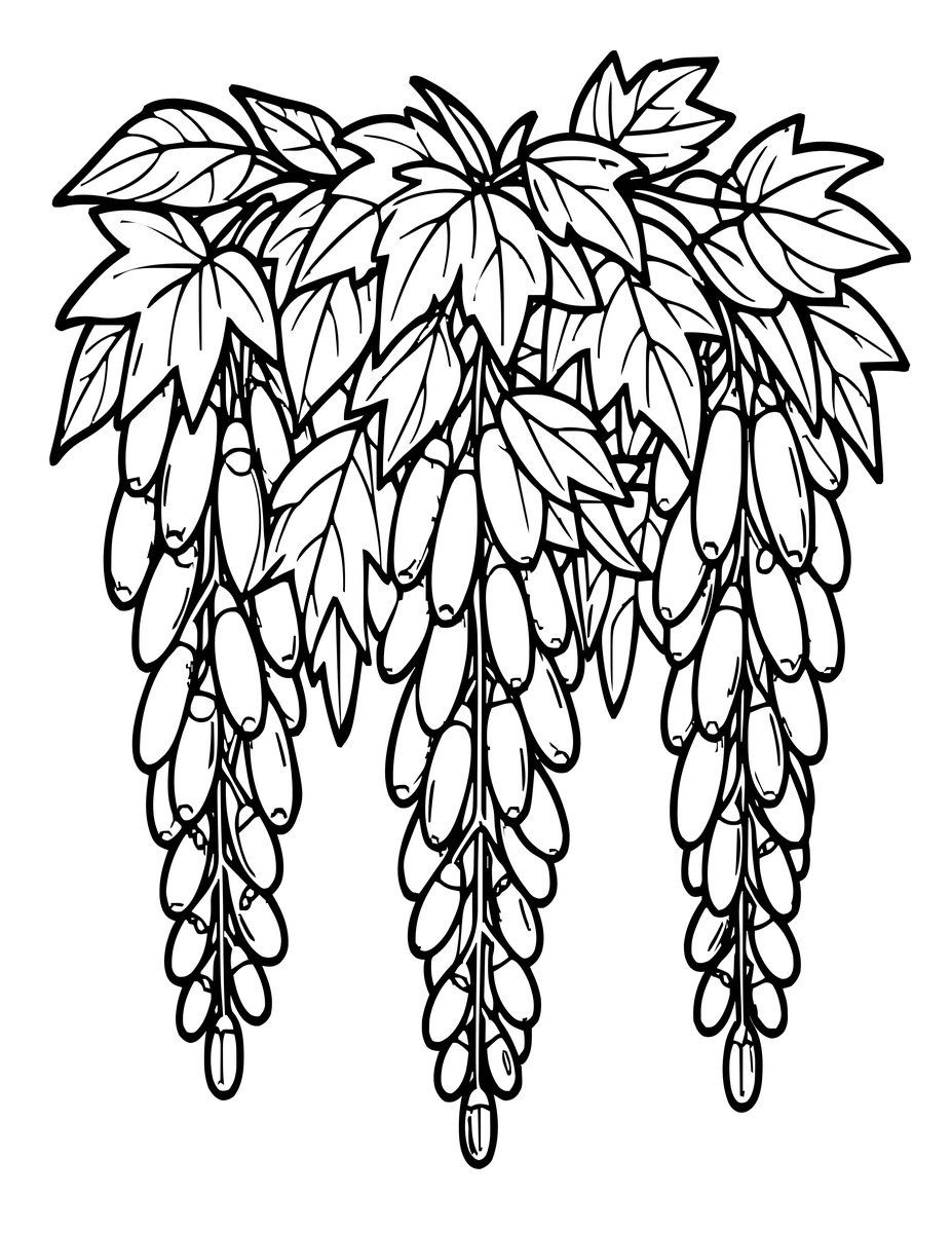 Seed Pods - free printable coloring page