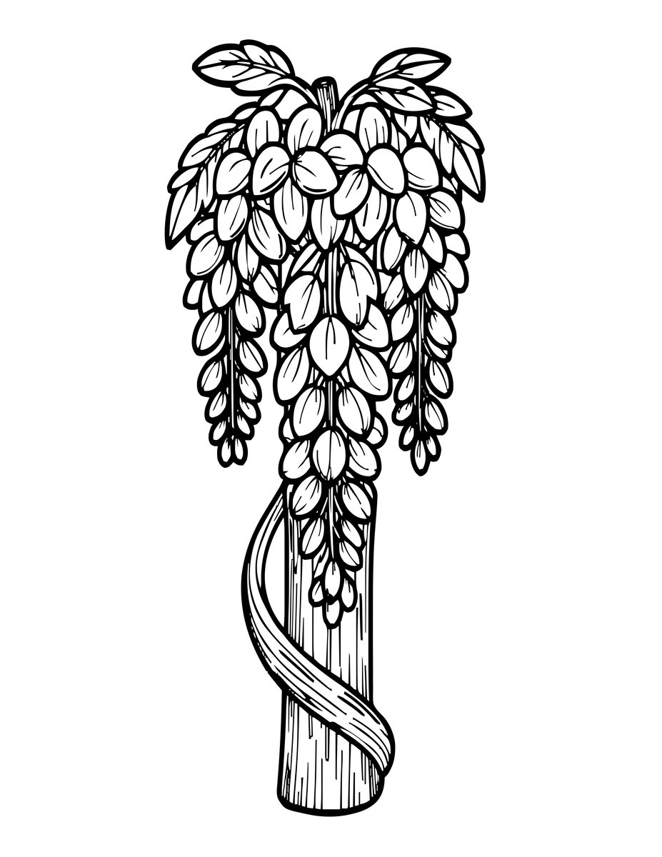 Spiral Vine - free printable coloring page
