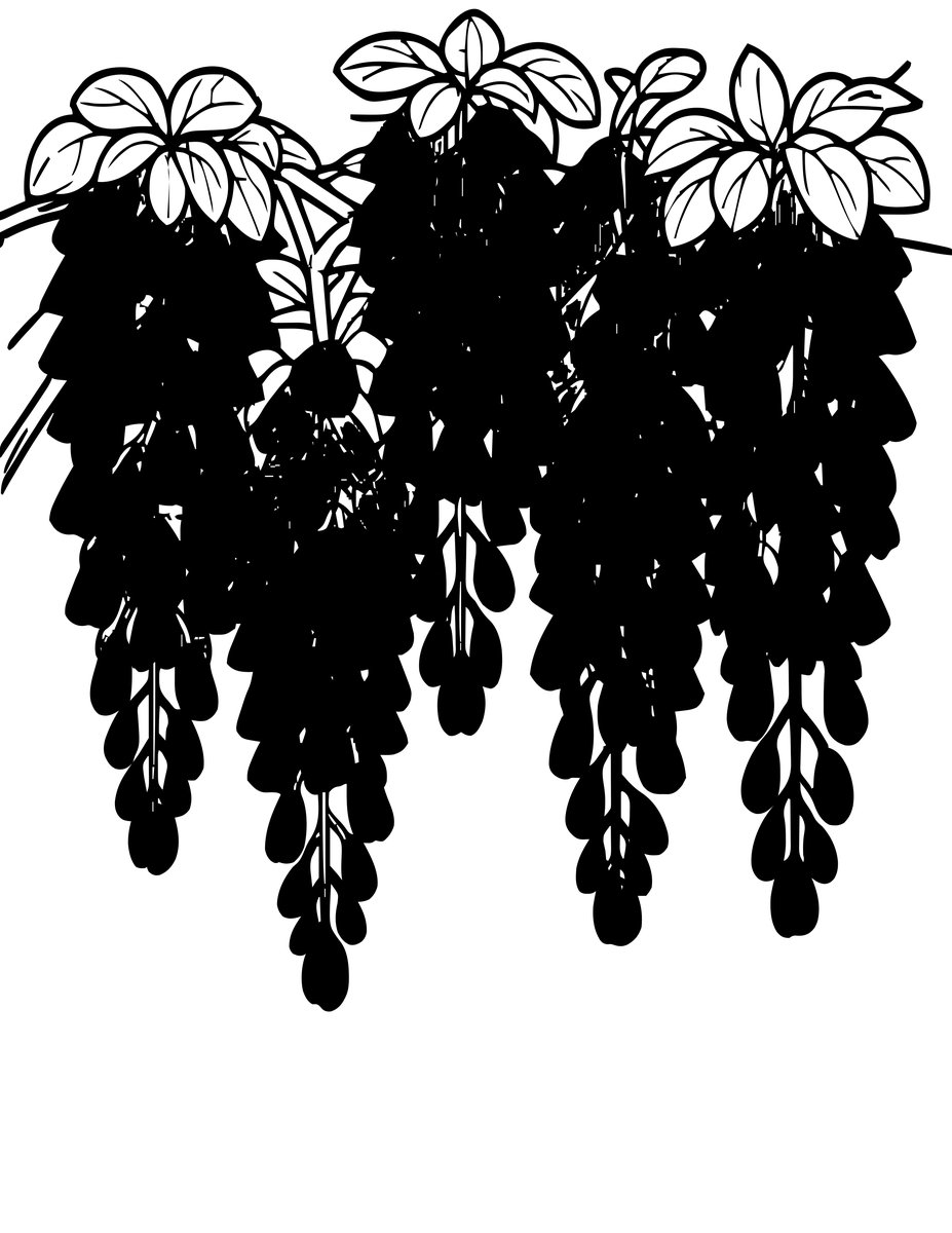 Wisteria Ceiling - free printable coloring page