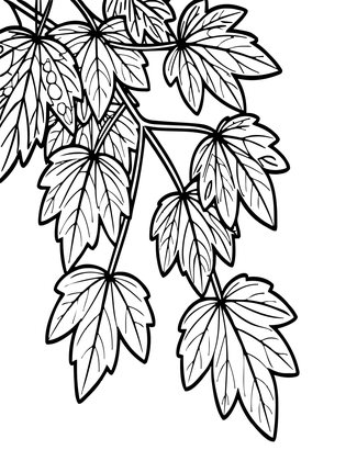 Leaf Detail - Free printable coloring page