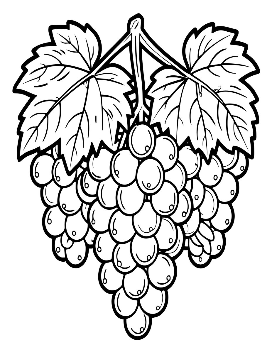 Grape Vine - free printable coloring page