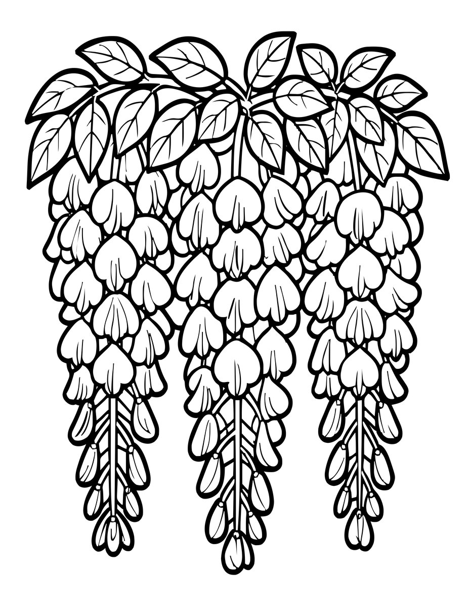 Wisteria Close-Up - free printable coloring page