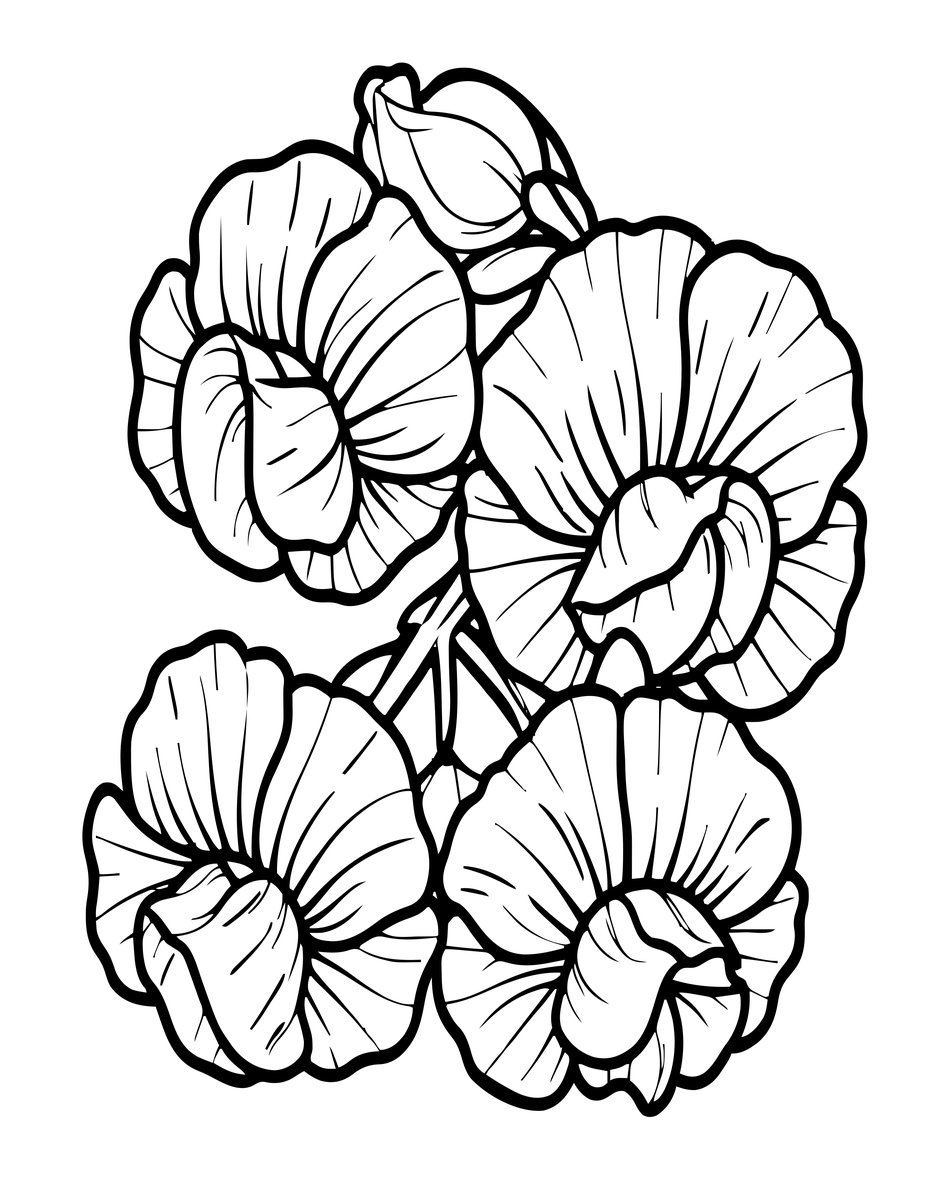 Sweet Pea Tangle - free printable coloring page