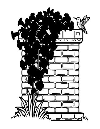 Trumpet Vine - Free printable coloring page