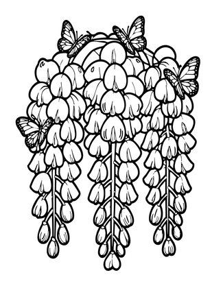 Wisteria and Butterfly - Free printable coloring page