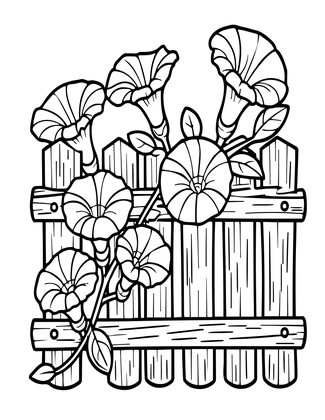 Morning Glory Fence - Free printable coloring page