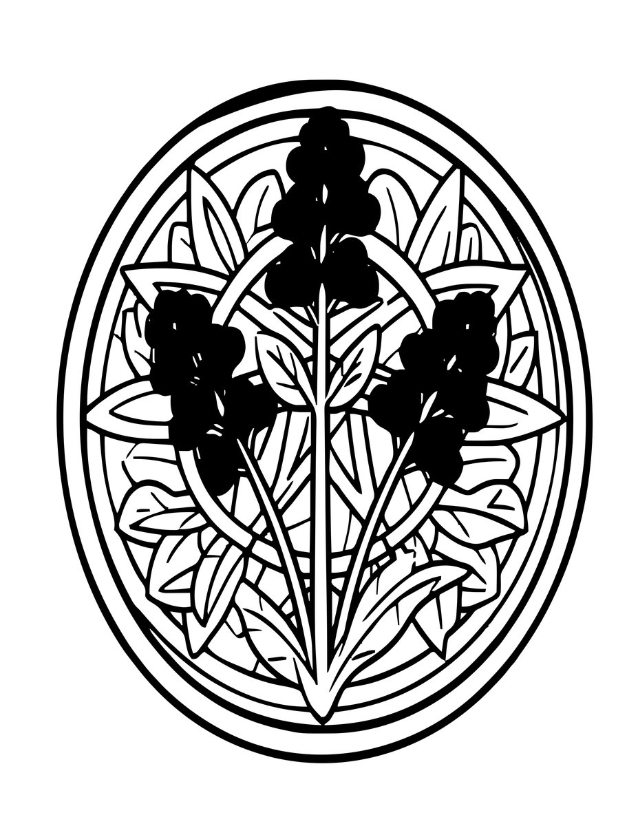 Vervain - free printable coloring page