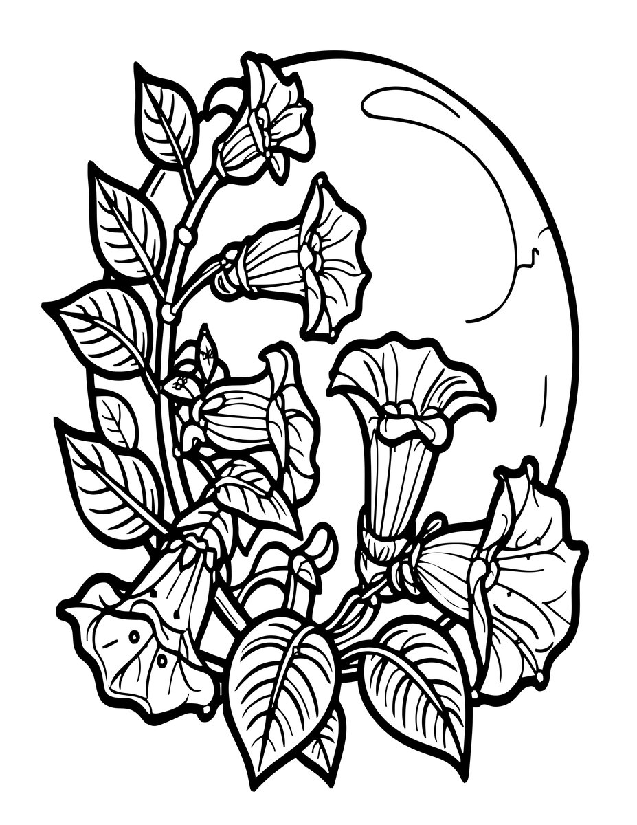 Moonflower - free printable coloring page
