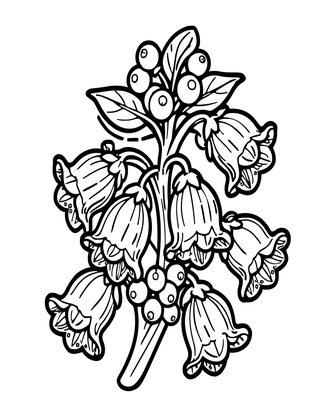 Belladonna - Free printable coloring page