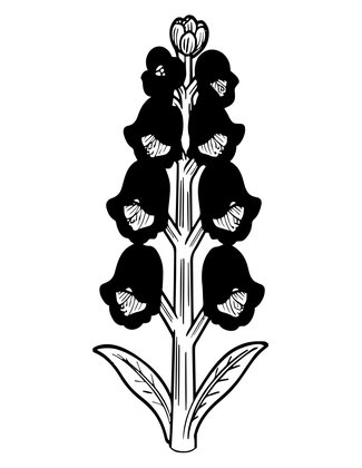 Wolfsbane - Free printable coloring page